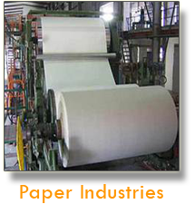 chemical industry